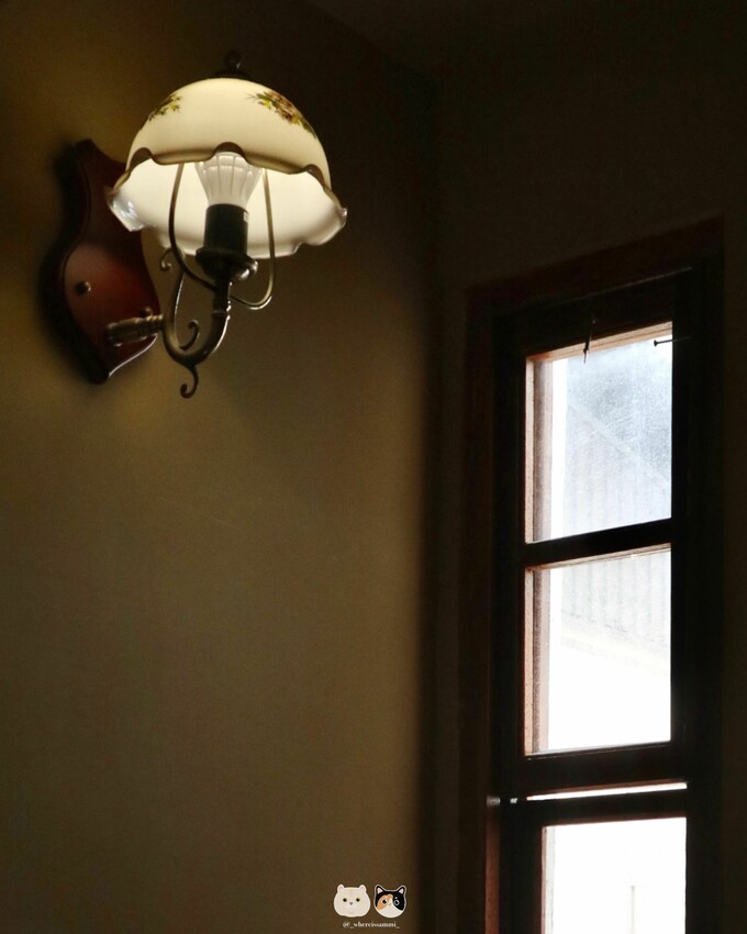 台南中西區住宿|Machiya Hinoki 町屋 日木．滿滿懷舊感的巷弄日式民宿，一同搭上時光機回到昭和時代