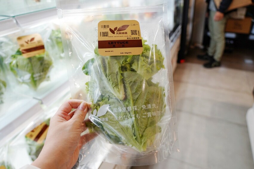 這是我吃過最大盤的溫沙拉！外帶溫沙拉3種蛋白質搭5種配料超澎湃，160元丼飯滿到看不到藜麥飯