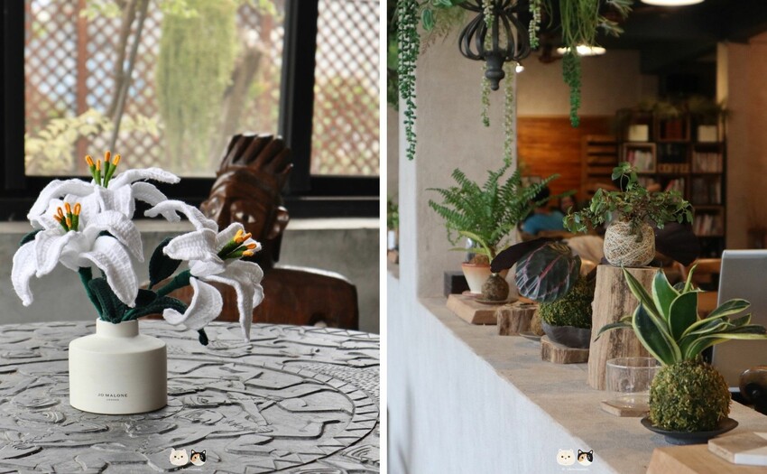 高雄美濃咖啡廳|也香咖飛 Yé Xiang Café．植栽與咖啡香圍繞滿屋．高雄咖啡廳推薦、美濃民俗村附近超美咖啡廳!