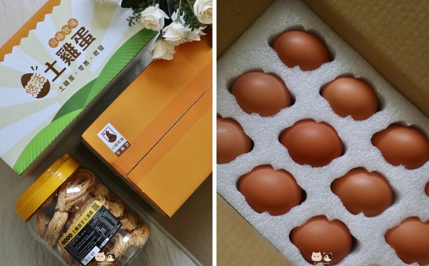 台中新社宅配|川峰牧場．富含營養的悠活土雞蛋&牛樟芝土雞蛋，在家來場簡單又美味的土雞蛋料理盛會