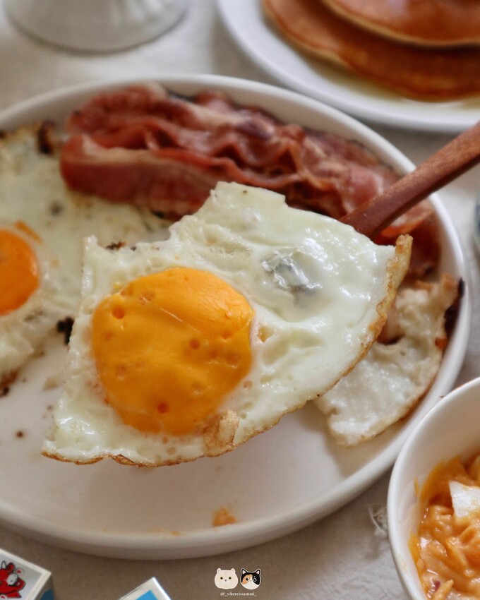 台中新社宅配|川峰牧場．富含營養的悠活土雞蛋&牛樟芝土雞蛋，在家來場簡單又美味的土雞蛋料理盛會