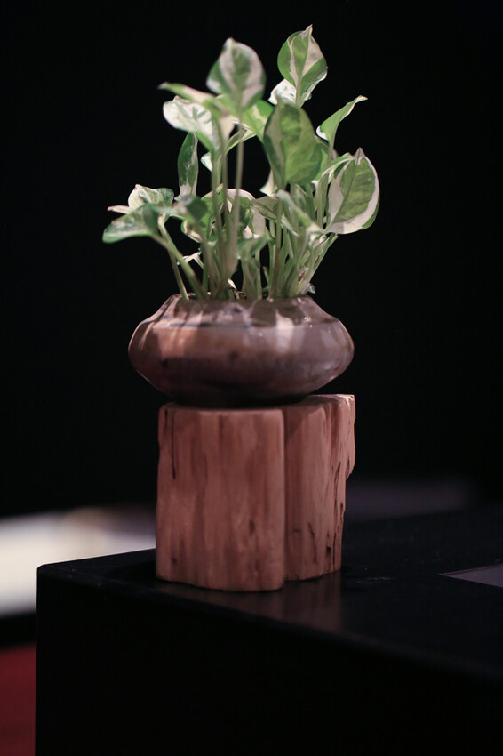 高雄美食 – Temperature 溫度劑 x 米其林2023年新入選餐廳