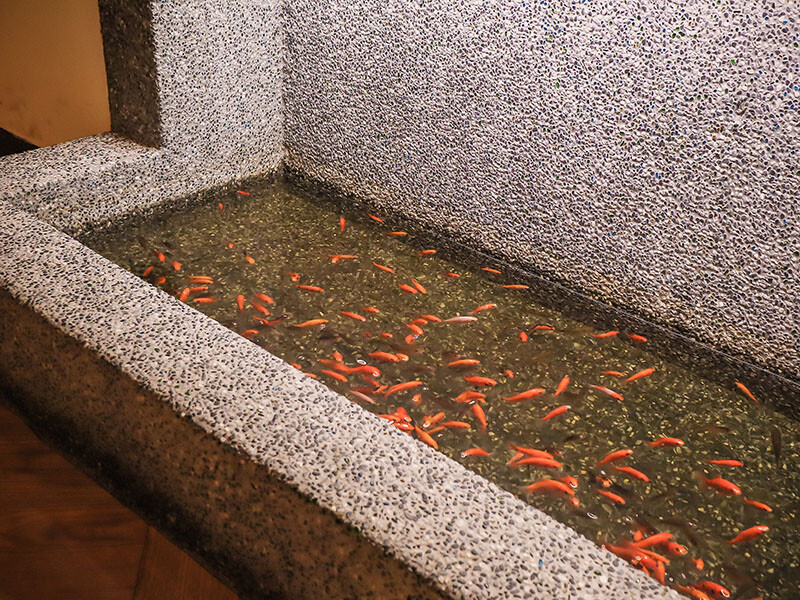 名古屋料亭居酒屋經國店 單點+無菜單料理吃生魚片、握壽司、現流海魚私房菜，九點過後邊吃飯邊唱歌氣氛超Chill