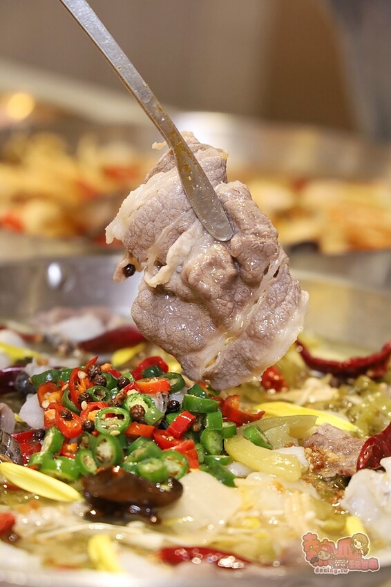 【台南美食】春囍打邊爐！獨家風味正宗酸菜魚，Prime雪花牛、松阪豬通通買一送一 - 熱血玩台南。跳躍新世界