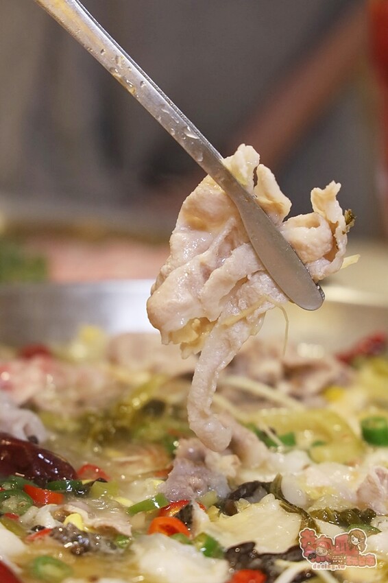 【台南美食】春囍打邊爐！獨家風味正宗酸菜魚，Prime雪花牛、松阪豬通通買一送一 - 熱血玩台南。跳躍新世界