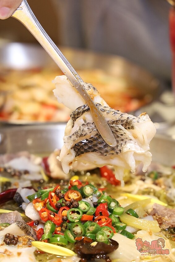 【台南美食】春囍打邊爐！獨家風味正宗酸菜魚，Prime雪花牛、松阪豬通通買一送一 - 熱血玩台南。跳躍新世界