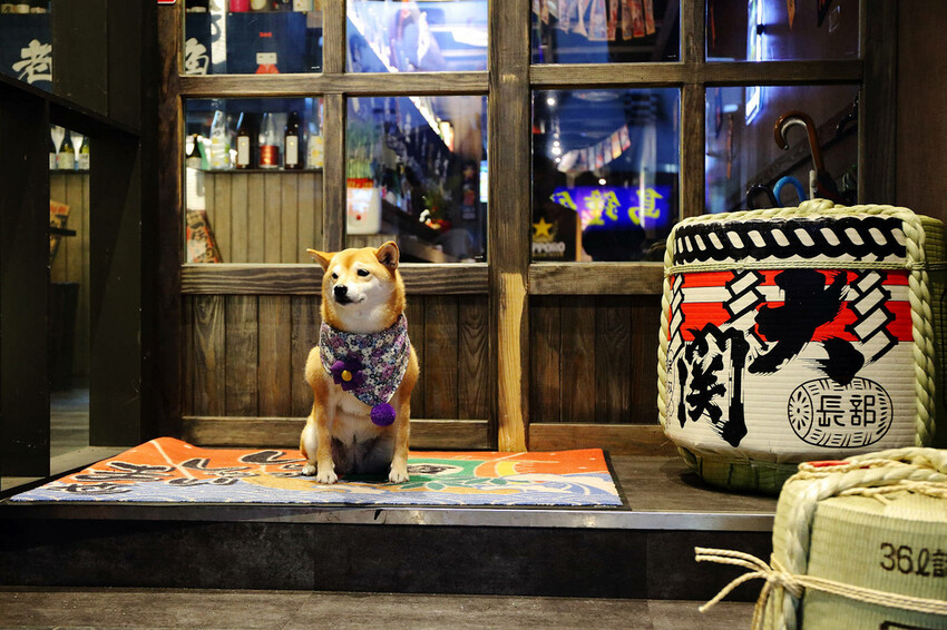 老串角居酒屋新莊店,新莊宵夜、串燒必吃推薦,Google評論