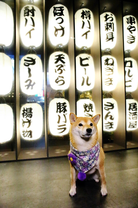 老串角居酒屋新莊店,新莊宵夜、串燒必吃推薦,Google評論