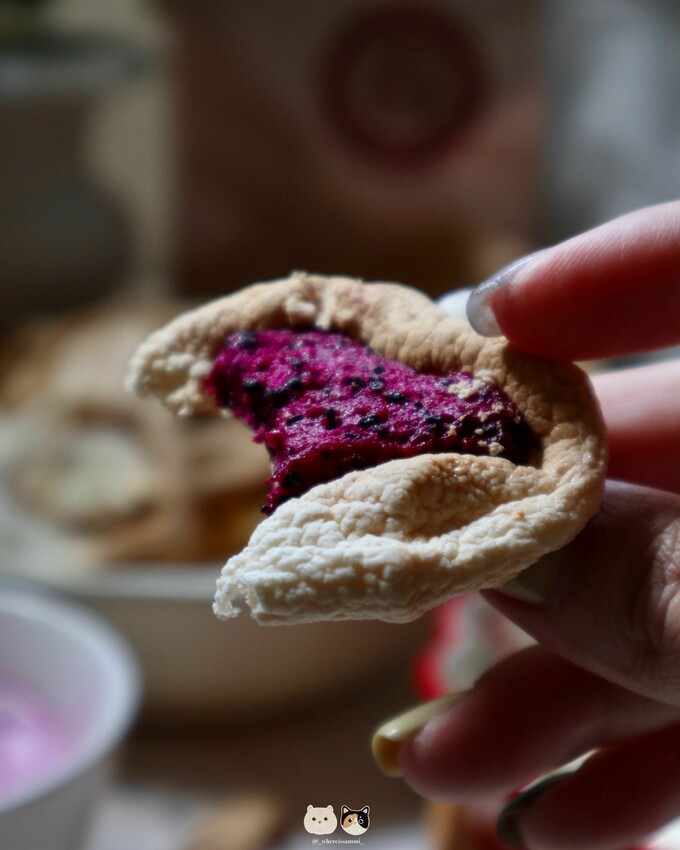 全台線上販售|春哥好物．打破水果「鮮嫩多汁」既定印象!水果凍乾隨時都能品嚐水果好滋味，三種超簡單創意改