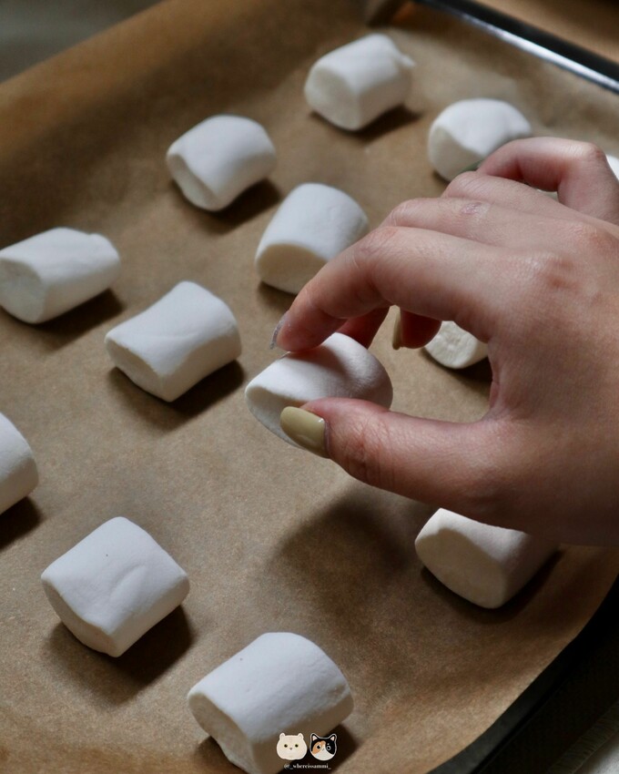 全台線上販售|春哥好物．打破水果「鮮嫩多汁」既定印象!水果凍乾隨時都能品嚐水果好滋味，三種超簡單創意改