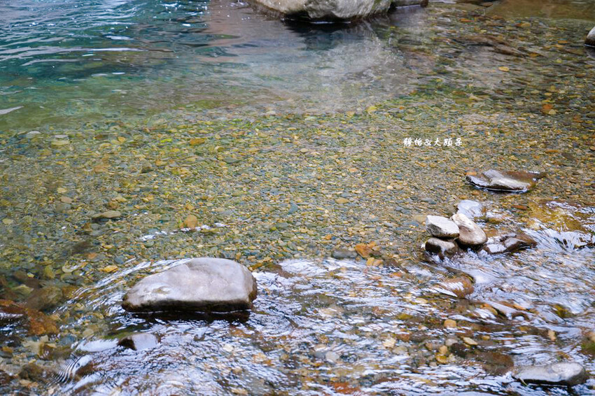 梅后秘境咖啡廳 ❙ 山林裡露天咖啡、森林步道、梅后蔓瀑布，新