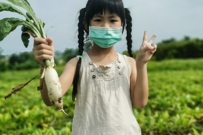 高雄。苓雅》張媽媽八寶韭菜盒