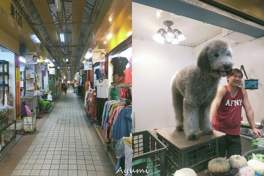 [台北青旅推薦]寓見青旅MeetingMates Hostel /交通便利近捷運龍山寺站3號出口/提供實惠的長短期住宿&多功能