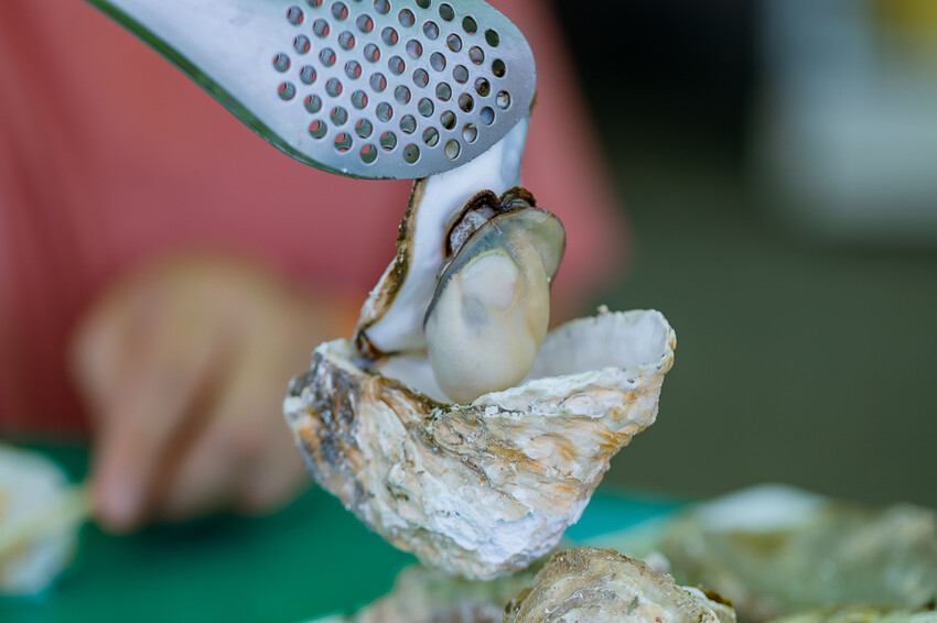 頤夫咖啡 – 200元烤蚵吃到飽