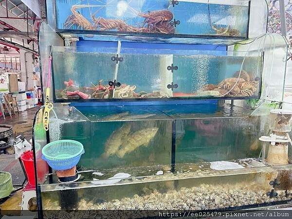布袋海鮮餐廳推薦 布袋海鮮(林)A1店 活跳海鮮,大口吃看這裡~