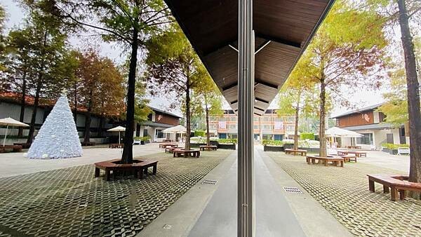 大IMG_9733.jpeg 大IMG_9733.jpeg