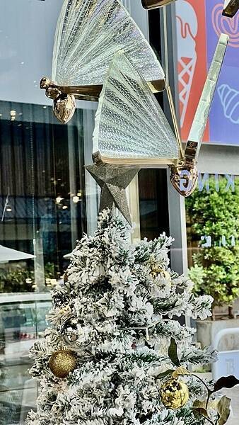 大IMG_8583.jpeg 大IMG_8583.jpeg