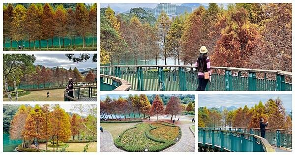 IMG_0658.JPG IMG_0658.JPG