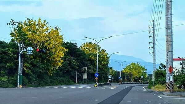 大IMG_5198.jpeg 大IMG_5198.jpeg