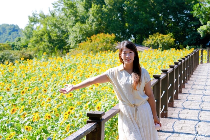 貓空樟樹步道「山上豆花」，燒麻糬、粉圓冰、鳳梨冰也大人氣，貓