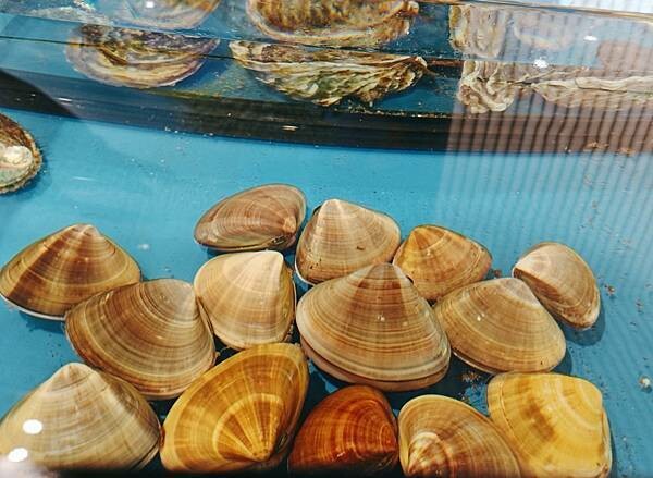 [ 新竹海鮮餐廳 ] 千八料亭-八海宴。鮮嫩的活海鮮料理有著味覺的饗宴滿滿正港的海味/日本鹽烤黑喉魚/慶生聚餐好去處/南寮漁港