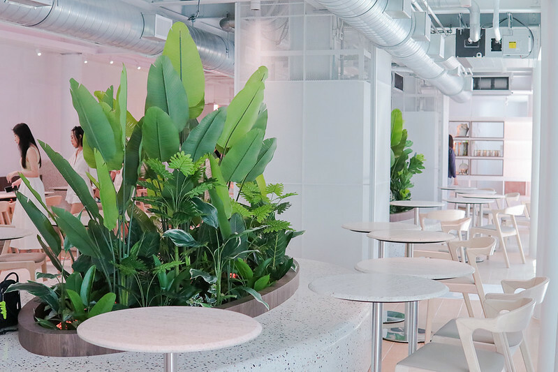 高雄｜光室咖啡 Light Is Café  原址是壽山動物園黑猩猩的家/一起來去動物園喝咖啡