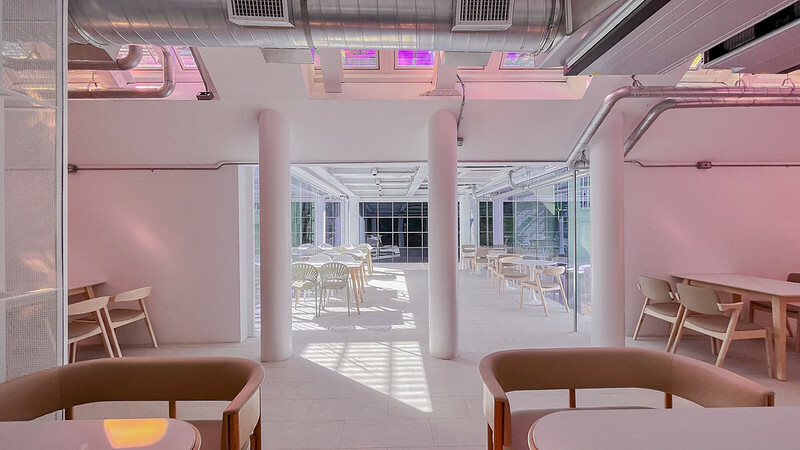 高雄｜光室咖啡 Light Is Café  原址是壽山動物園黑猩猩的家/一起來去動物園喝咖啡