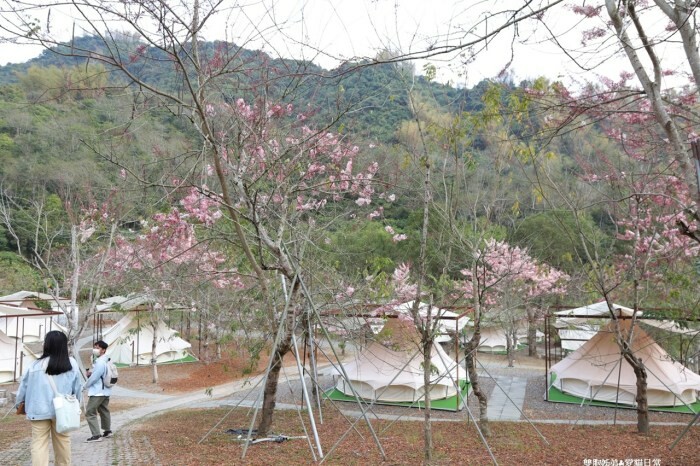 高雄住宿優質選擇 康橋商旅光榮碼頭館 早餐消夜點心 旅途精神糧食