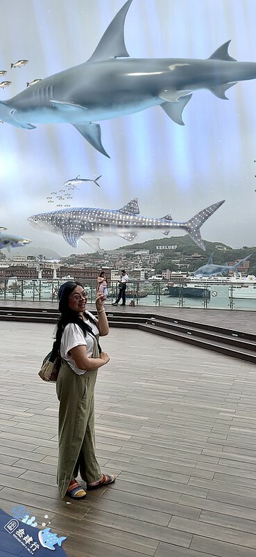 【台灣，基隆市，中正區】基隆唯一獲清真認證餐廳～巴基斯坦廚房(真愛咖哩Moiz Ali) ；同場加映「鯨鯊共游