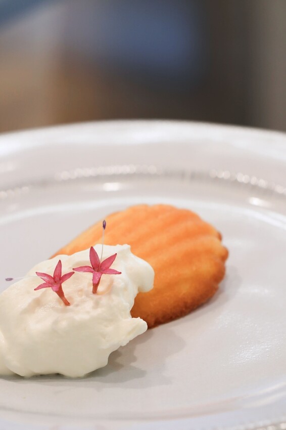 20230704_154509_424.jpg 20230704_154509_424.jpg