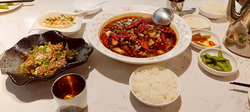 美食|漢來美食新品牌「TO GO溜溜酸菜魚專賣店」高雄夢時代