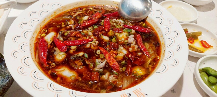 美食|漢來美食新品牌「TO GO溜溜酸菜魚專賣店」高雄夢時代