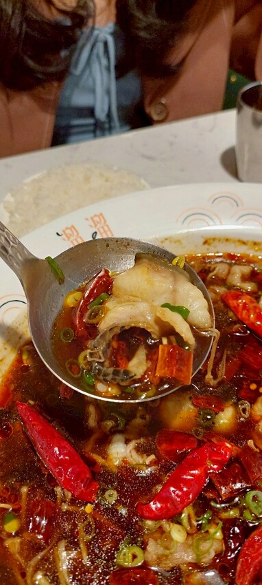 美食|漢來美食新品牌「TO GO溜溜酸菜魚專賣店」高雄夢時代