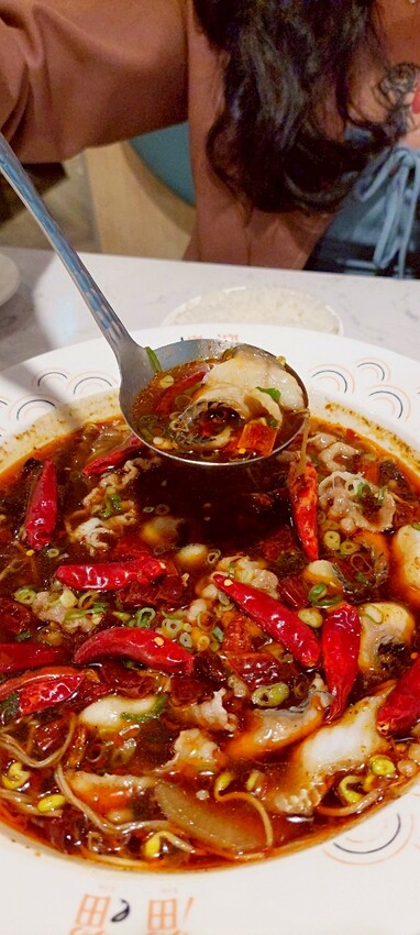 美食|漢來美食新品牌「TO GO溜溜酸菜魚專賣店」高雄夢時代