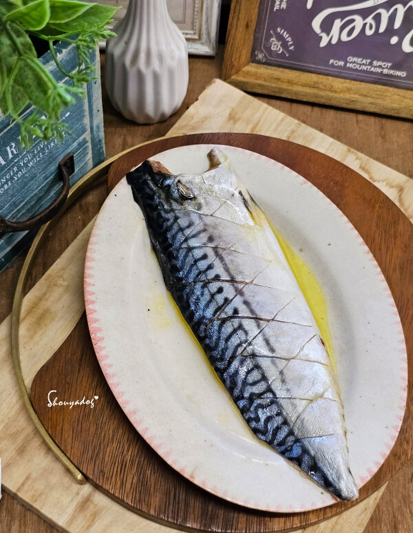 【生鮮宅配】拓野貿易有限公司之橘子魚 中秋烤肉食材 鯖魚片 