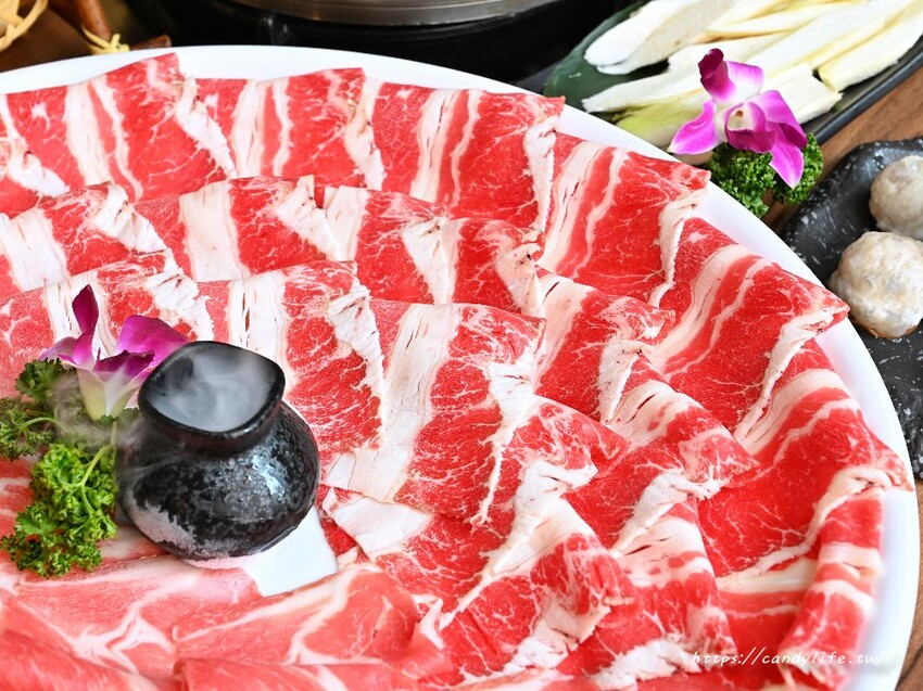 泰滾泰式火鍋｜都市中絕美叢林系泰式火鍋店，口味道地，蝦片無限吃到飽，超狂限時優惠一百元發票就送一百隻蝦！