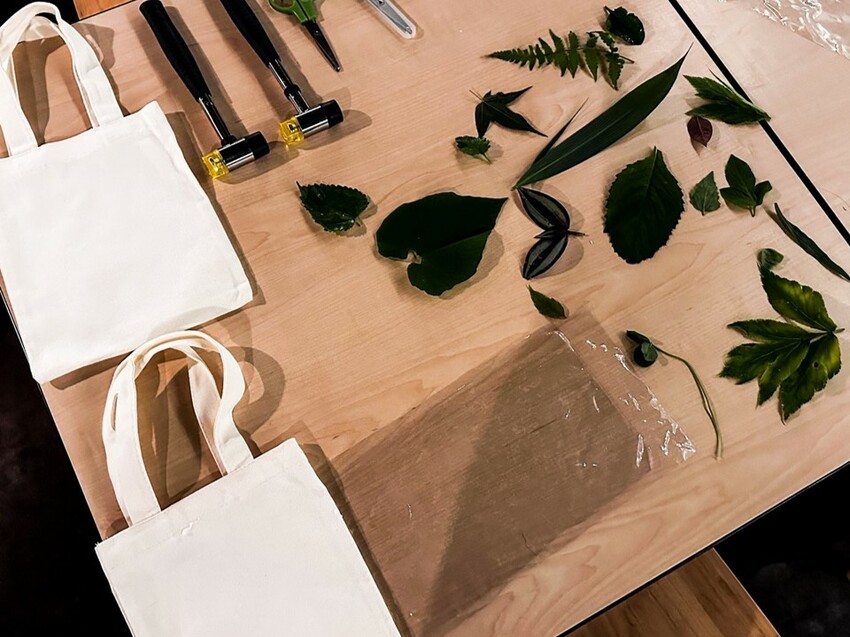 2023 【內含優惠】新竹住宿推薦》蟬說-霧語WOO YUU 超越雲海之上的懶人露營 I 網美露營 I 新竹住宿 I 新竹旅遊 - 理智派的生活手札