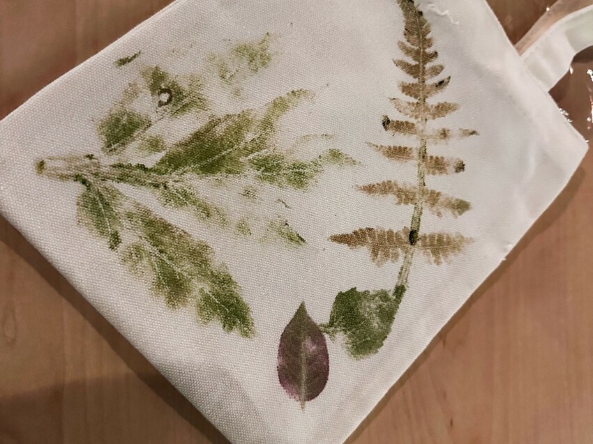 2023 【內含優惠】新竹住宿推薦》蟬說-霧語WOO YUU 超越雲海之上的懶人露營 I 網美露營 I 新竹住宿 I 新竹旅遊 - 理智派的生活手札