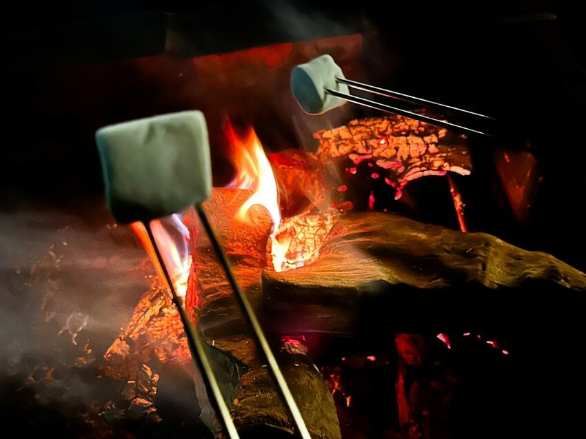 2023 【內含優惠】新竹住宿推薦》蟬說-霧語WOO YUU 超越雲海之上的懶人露營 I 網美露營 I 新竹住宿 I 新竹旅遊 - 理智派的生活手札