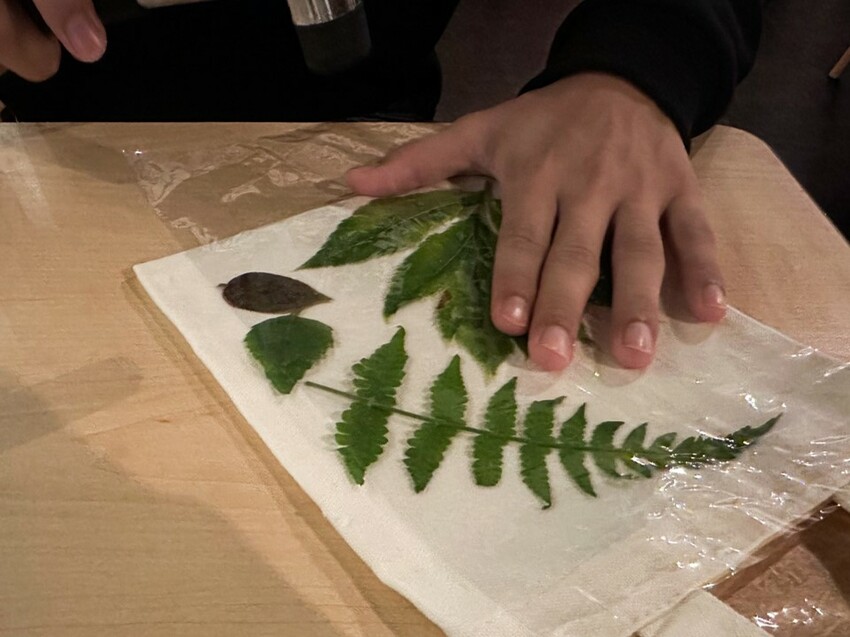 2023 【內含優惠】新竹住宿推薦》蟬說-霧語WOO YUU 超越雲海之上的懶人露營 I 網美露營 I 新竹住宿 I 新竹旅遊 - 理智派的生活手札