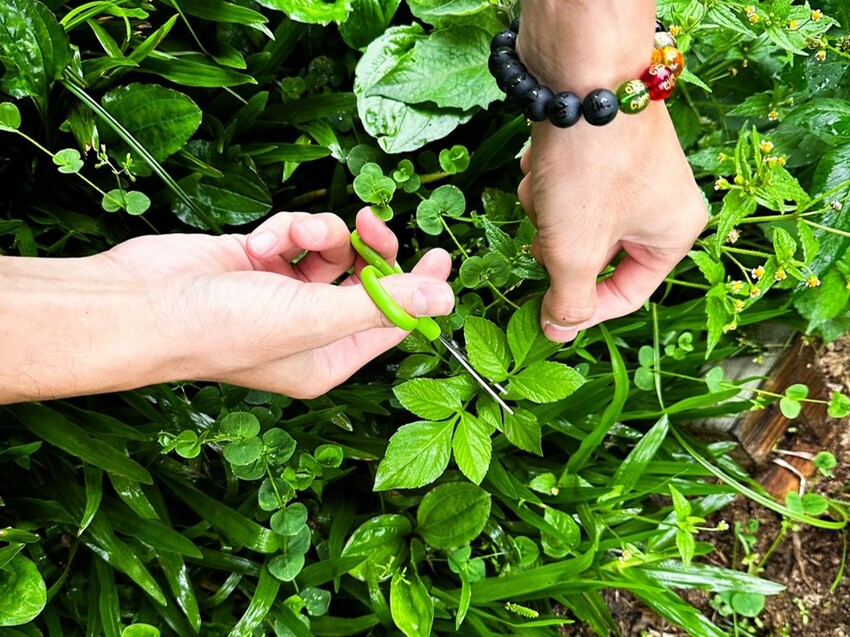 2023 【內含優惠】新竹住宿推薦》蟬說-霧語WOO YUU 超越雲海之上的懶人露營 I 網美露營 I 新竹住宿 I 新竹旅遊 - 理智派的生活手札