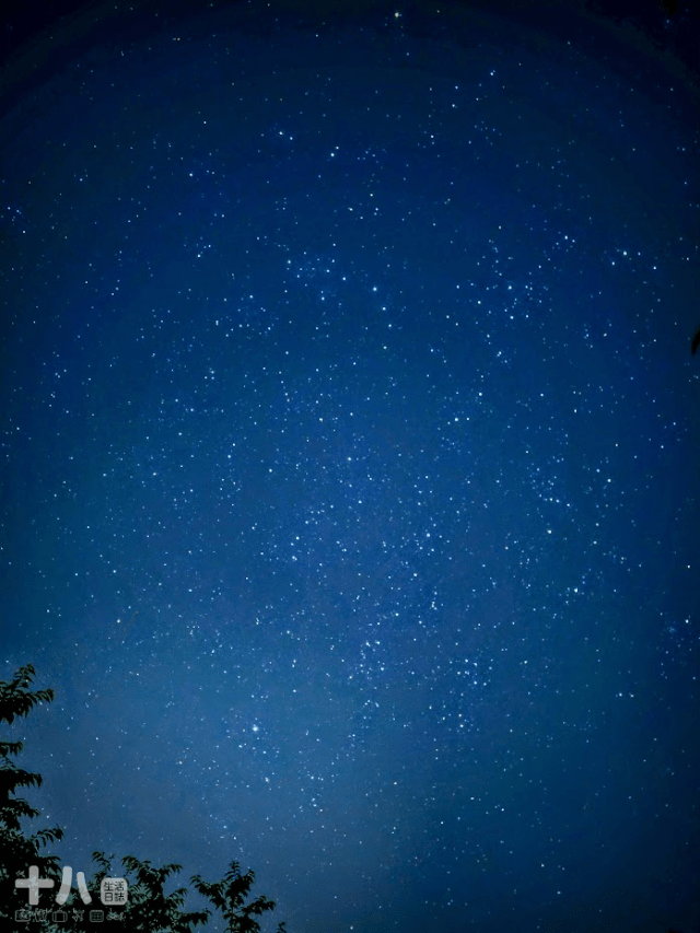 【新竹旅遊】蟬說：霧語WooYuu｜深刻感受大自然帶來的禮物，有雲霧繚繞的美、無邊際的滿天星空與螢火蟲季的點燈之旅。使用折扣碼wy4655享95折優惠