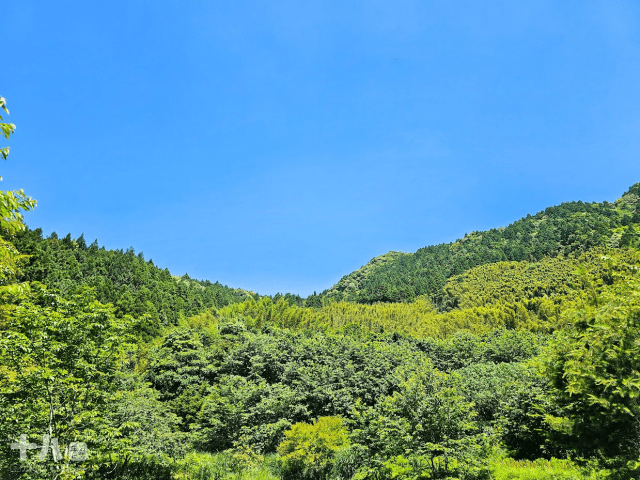 【新竹旅遊】蟬說：霧語WooYuu｜深刻感受大自然帶來的禮物，有雲霧繚繞的美、無邊際的滿天星空與螢火蟲季的點燈之旅。使用折扣碼wy4655享95折優惠