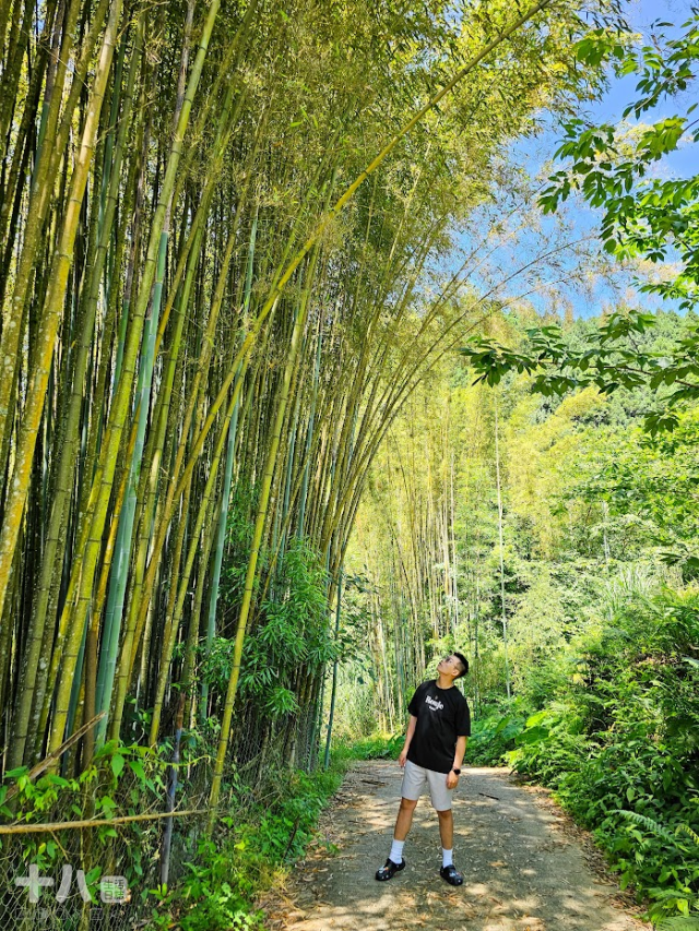 【新竹旅遊】蟬說：霧語WooYuu｜深刻感受大自然帶來的禮物，有雲霧繚繞的美、無邊際的滿天星空與螢火蟲季的點燈之旅。使用折扣碼wy4655享95折優惠