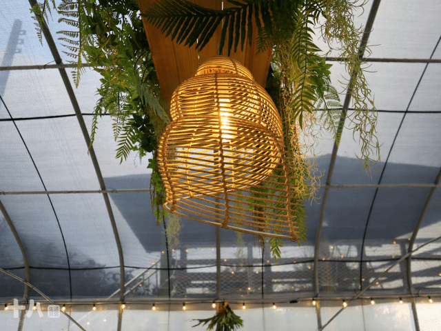 【新竹旅遊】蟬說：霧語WooYuu｜深刻感受大自然帶來的禮物，有雲霧繚繞的美、無邊際的滿天星空與螢火蟲季的點燈之旅。使用折扣碼wy4655享95折優惠