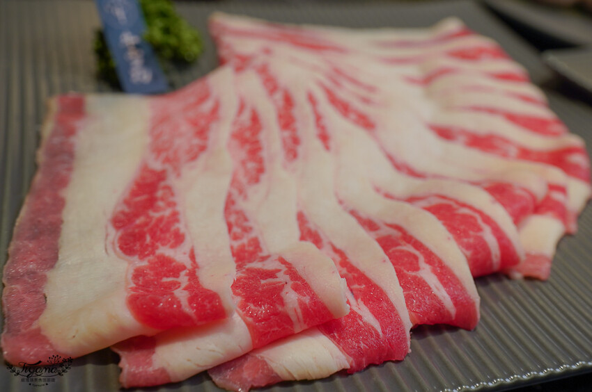 桃園火鍋。珍上堂海陸火鍋城：桃園精品火鍋「黃金雞上湯」，生猛鮮活波士頓龍蝦這裡吃 @緹雅瑪 美食旅遊趣