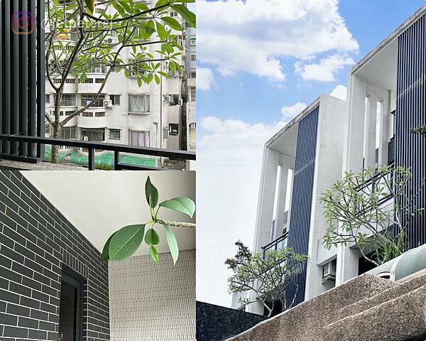 LINE_ALBUM_20230703 _4_230705_15.jpg