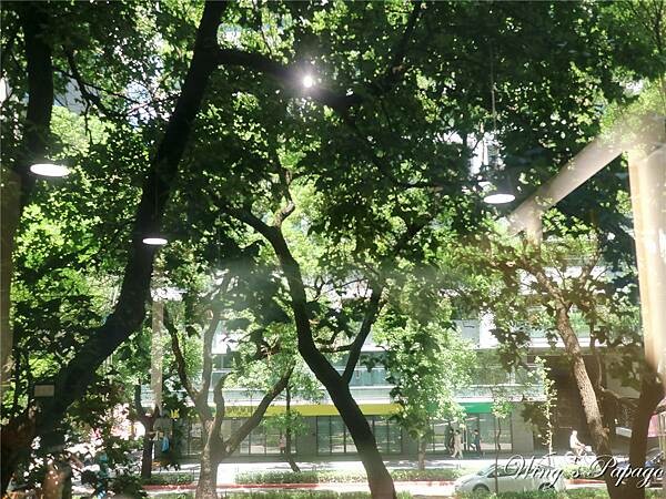 IMG_3222.jpg IMG_3222.jpg