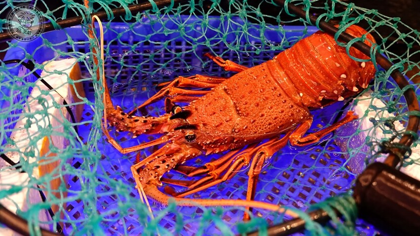 【 三峽日本料理 】父親節還找不到去哪慶祝嗎？來東街日本料理絕對是最好的選擇，不論是日本料理、合菜、桌