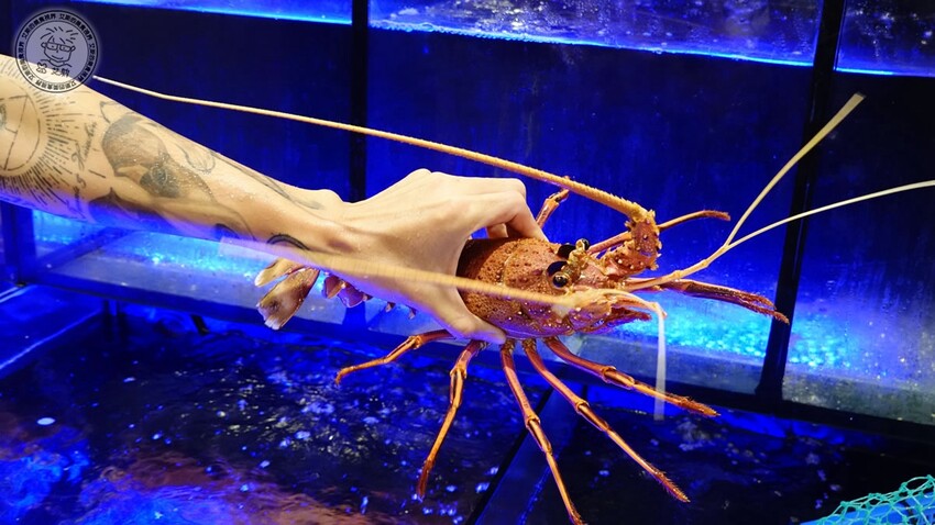 【 三峽日本料理 】父親節還找不到去哪慶祝嗎？來東街日本料理絕對是最好的選擇，不論是日本料理、合菜、桌